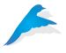 پرینت جزئیات